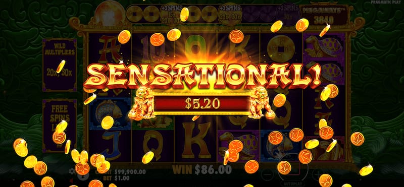 Gambling info site - 5 lions megaways 2