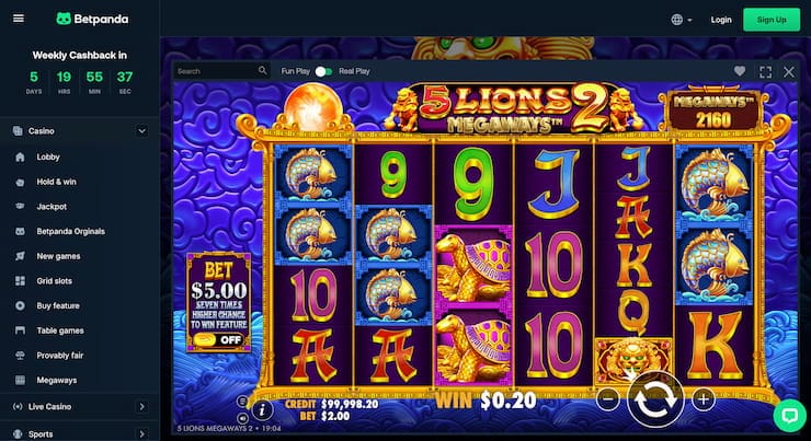 Gambling info site - 5 lions megaways 2